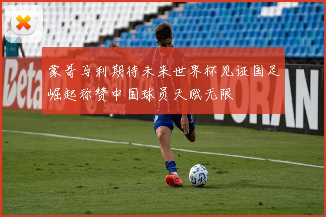 蒙哥马利期待未来世界杯见证国足崛起称赞中国球员天赋无限