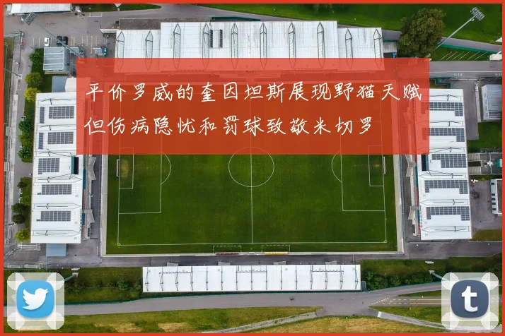 平价罗威的奎因坦斯展现野猫天赋但伤病隐忧和罚球致敬米切罗